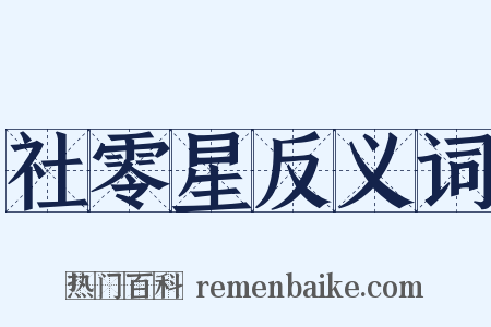 社零星反义词是什么意思的图片